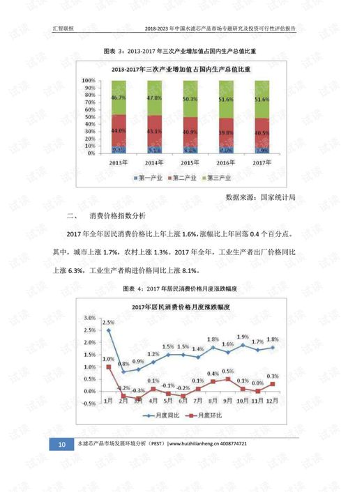 2018-2023年中國水濾芯產(chǎn)品市場專題研究及投資可行性評估報告 資產(chǎn)價值深度解析